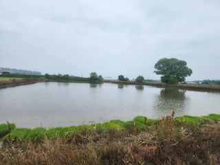 열혈특공님의 벼 · 영농일지 작성글 사진