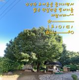 팜모닝 자유주제·자유게시판 게시글 이미지