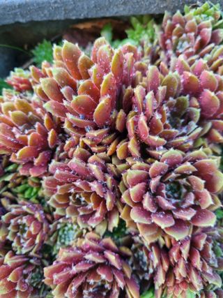 손병만님의 자유주제 · 자유게시판 작성글 사진