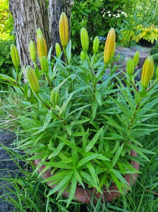 손병만님의 자유주제 · 자유게시판 작성글 사진