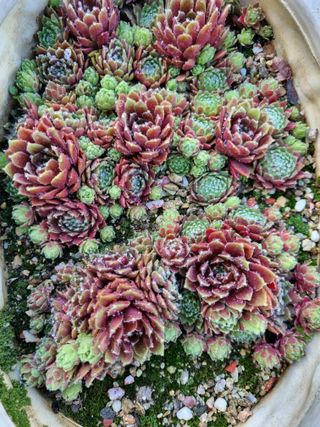 손병만님의 자유주제 · 자유게시판 작성글 사진