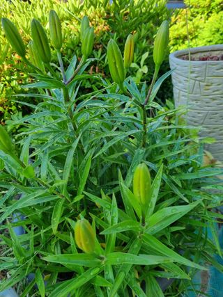 손병만님의 자유주제 · 자유게시판 작성글 사진