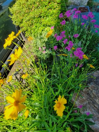 손병만님의 자유주제 · 자유게시판 작성글 사진