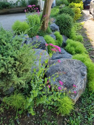 손병만님의 자유주제 · 자유게시판 작성글 사진