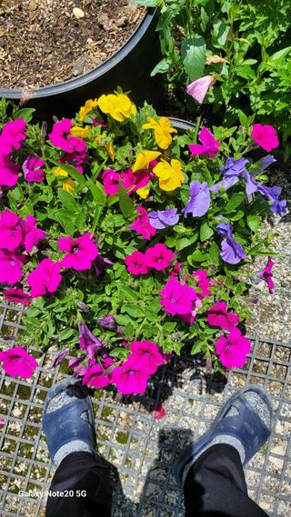 제주농부님의 참깨 · 영농일지 작성글 사진