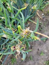 팜모닝 자유주제·자유게시판 게시글 이미지