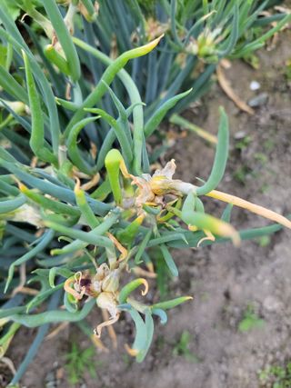 우영옥님의 자유주제 · 자유게시판 작성글 사진