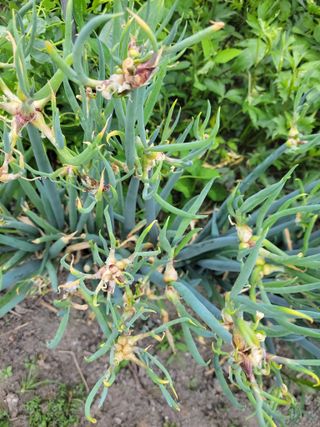 우영옥님의 자유주제 · 자유게시판 작성글 사진