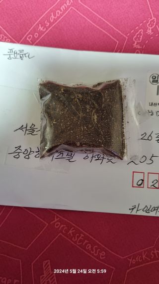 꿈사랑님의 파 · 영농일지 작성글 사진