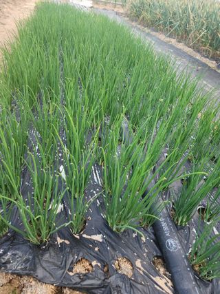 갑돌이님의 자유주제 · 자유게시판 작성글 사진