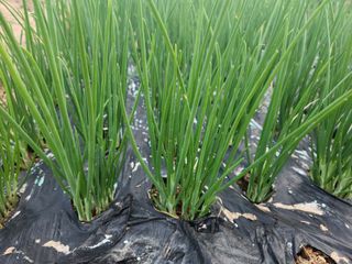 갑돌이님의 자유주제 · 자유게시판 작성글 사진