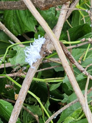 이동호님의 자유주제 · 자유게시판 작성글 사진