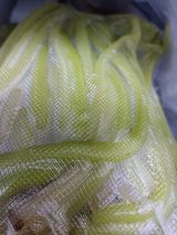 팜모닝 자유주제·자유게시판 게시글 이미지