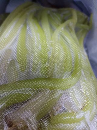 권지연.옥천.님의 자유주제 · 자유게시판 작성글 사진