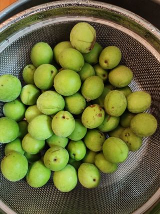 권지연.옥천.님의 자유주제 · 자유게시판 작성글 사진