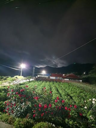 권지연.옥천.님의 자유주제 · 자유게시판 작성글 사진