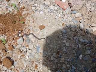 손미진 님의 자유주제 · 자유게시판 작성글 사진