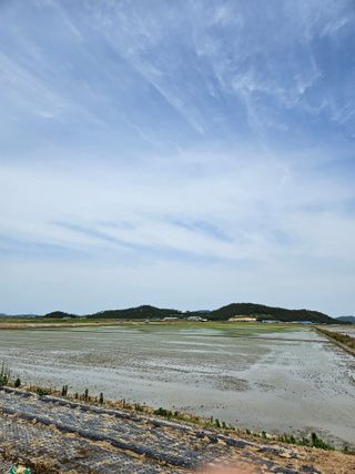 땅끝해남님의 벼 · 영농일지 작성글 사진