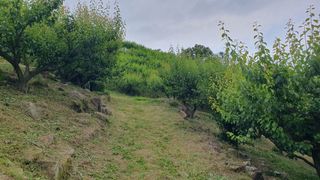 다온아띠농원 장현호님의 자유주제 · 자유게시판 작성글 사진