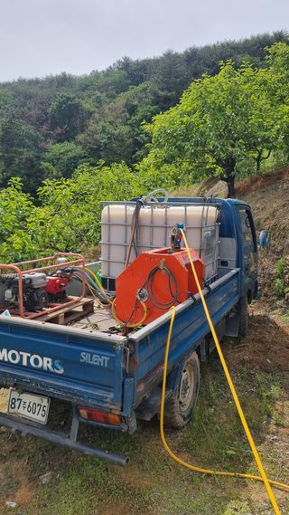 김현필님의 감 · 자유게시판 작성글 사진