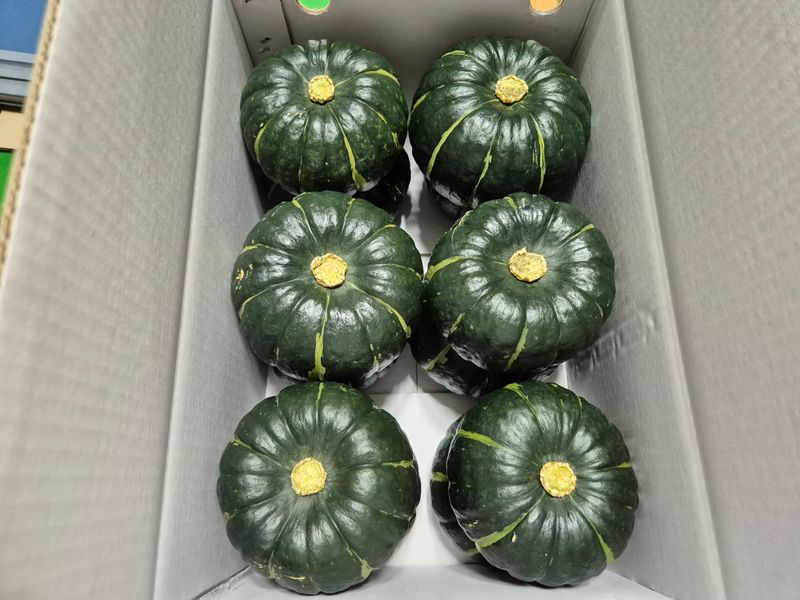 장터 상품 [미니단호박3kg] 썸네일