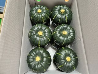 이일균님의 작성글 사진