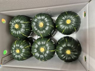 이일균님의 작성글 사진