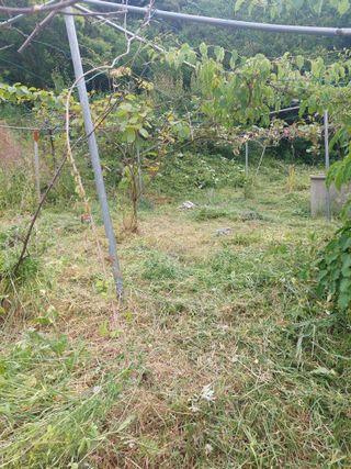 변용운님의 자유주제 · 자유게시판 작성글 사진