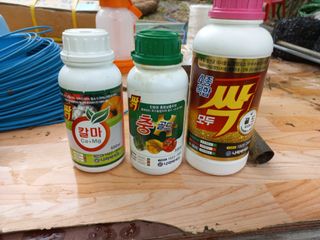 박동준님의 자유주제 · 자유게시판 작성글 사진