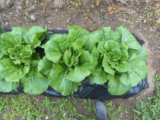 박동준님의 자유주제 · 자유게시판 작성글 사진