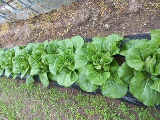 박동준님의 자유주제 · 자유게시판 작성글 사진