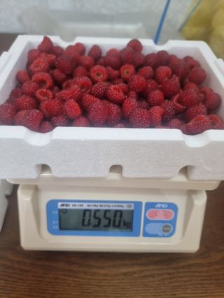 정영기대산축산농부♡님의 기타작물 · 영농일지 작성글 사진