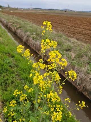 이미옥님의 올해 방제 어떻게 하셨나요? · 참여글 작성글 사진