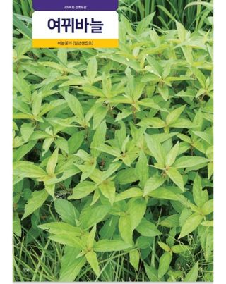 대산농사대장님의 벼 · 자유게시판 작성글 사진