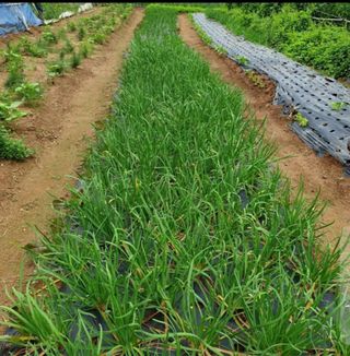 김영준님의 작성글 사진