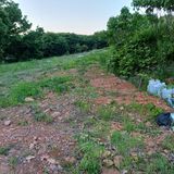 팜모닝 두릅·영농일지 게시글 이미지