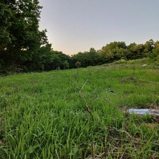 마늘22117님의 두릅 · 영농일지 작성글 사진