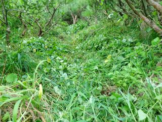 장만형님의 시금치 · 일상 작성글 사진