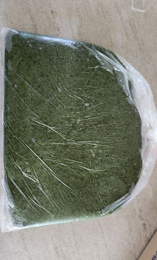 접시꽃님의 자유주제 · 자유게시판 작성글 사진