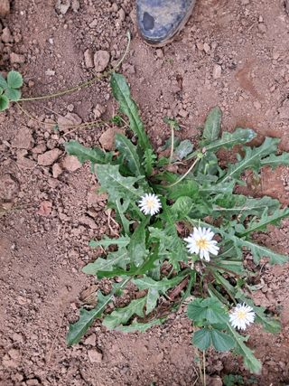 최한기님의 자유주제 · 자유게시판 작성글 사진