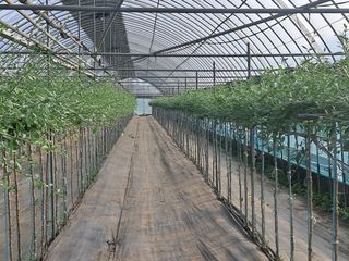 이천순님의 자유주제 · 자유게시판 작성글 사진