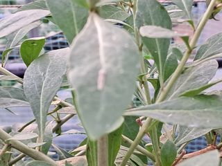 이천순님의 자유주제 · 자유게시판 작성글 사진