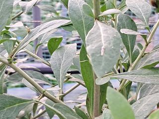 이천순님의 자유주제 · 자유게시판 작성글 사진