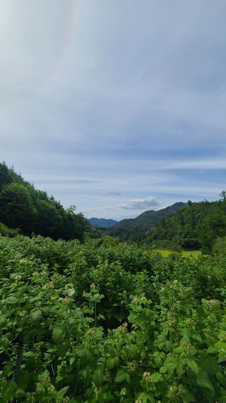 장봉덕님의 기타작물 · 영농일지 작성글 사진