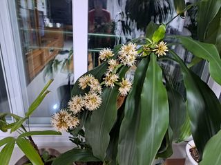 온시디움님의 자유주제 · 자유게시판 작성글 사진