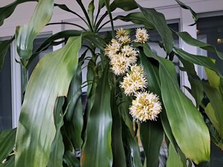 온시디움님의 자유주제 · 자유게시판 작성글 사진