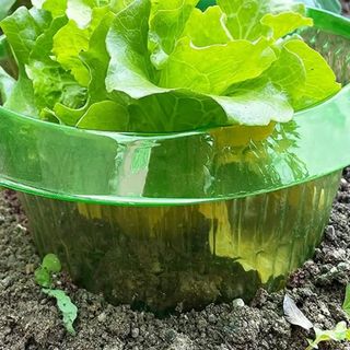 바이털사인님의 작성글 사진