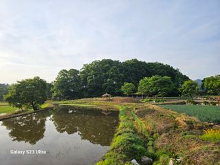 양철주님의 자유주제 · 사진전 작성글 사진