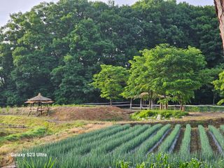 양철주님의 자유주제 · 사진전 작성글 사진