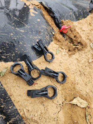 장재갑님의 고추 · 영농일지 작성글 사진